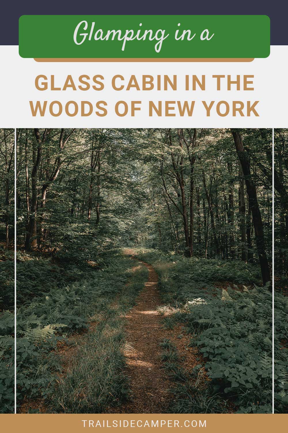 Glamping in a Glass Cabin In The Woods Of New York