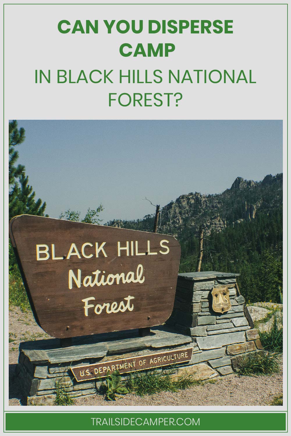 Can you disperse camp in Black Hills National Forest?
