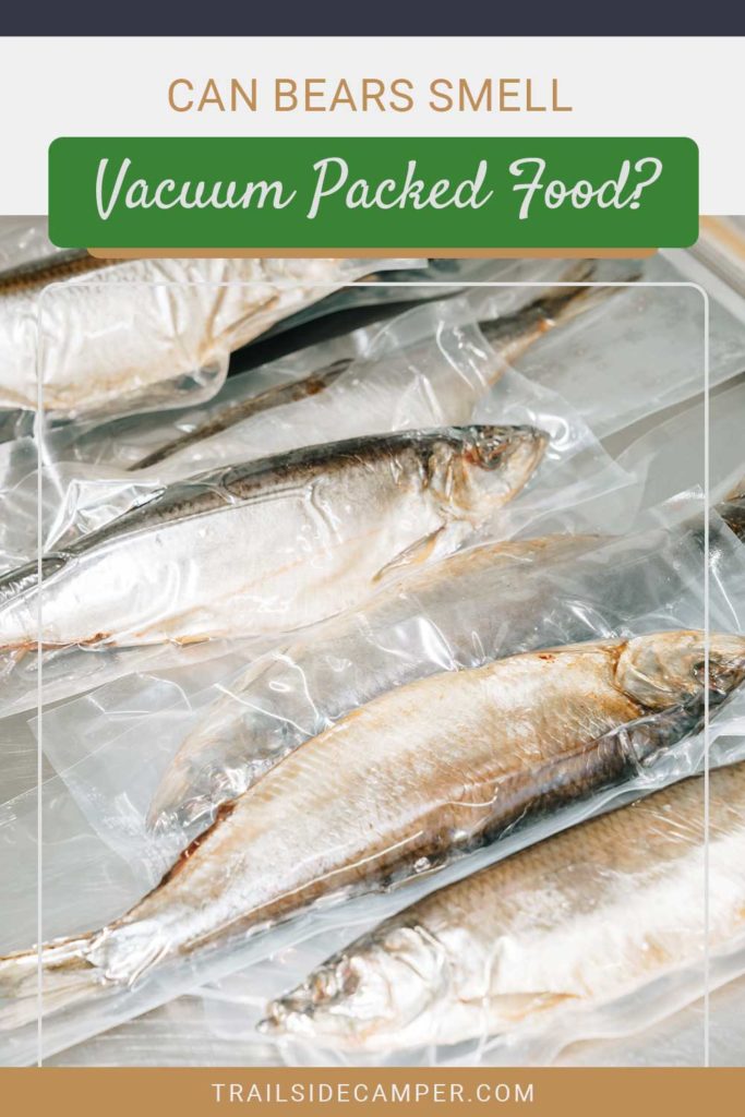 Can Bears Smell Vacuum Packed Food? Trailside Camper