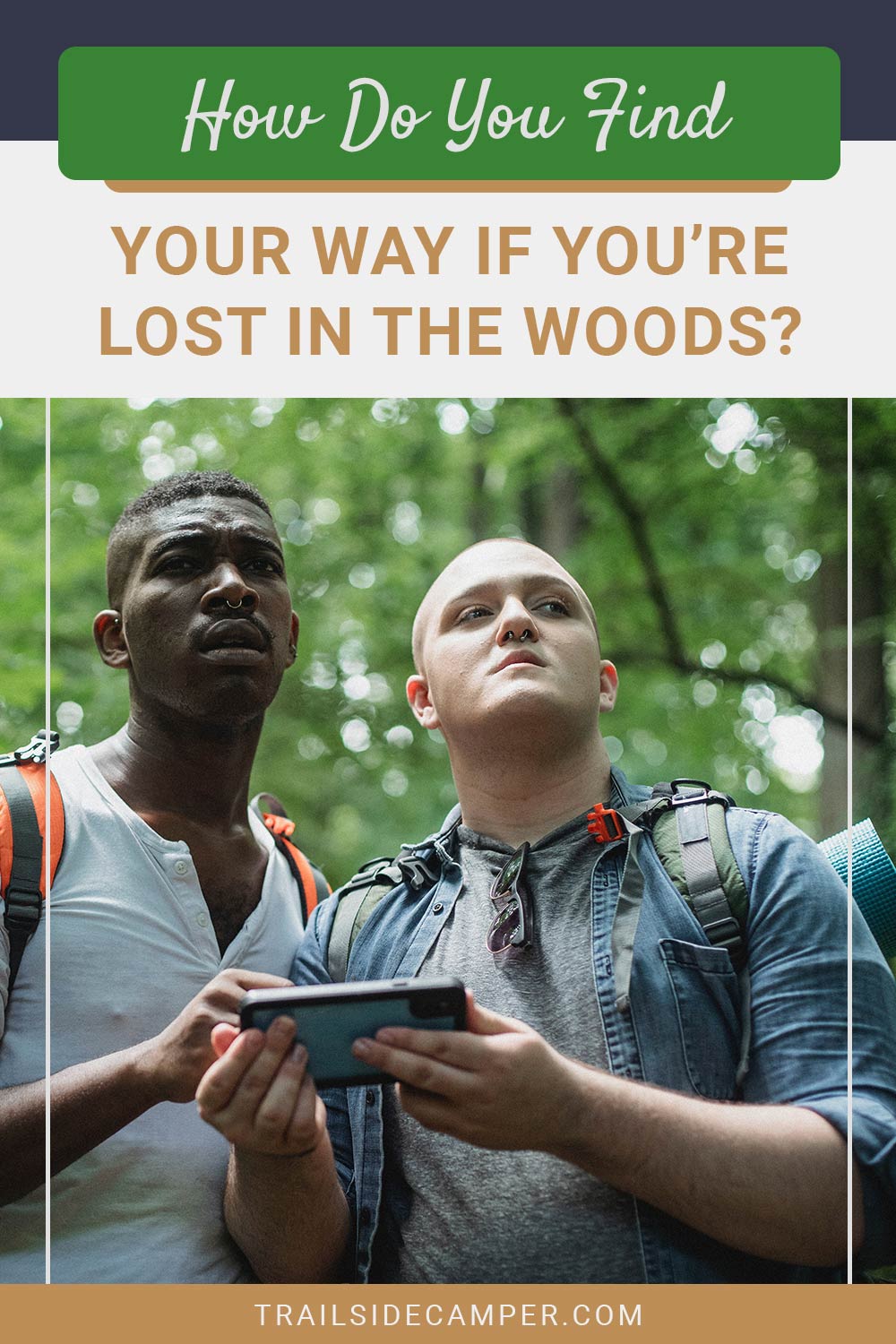 How Do You Find Your Way if You’re Lost in the Woods?