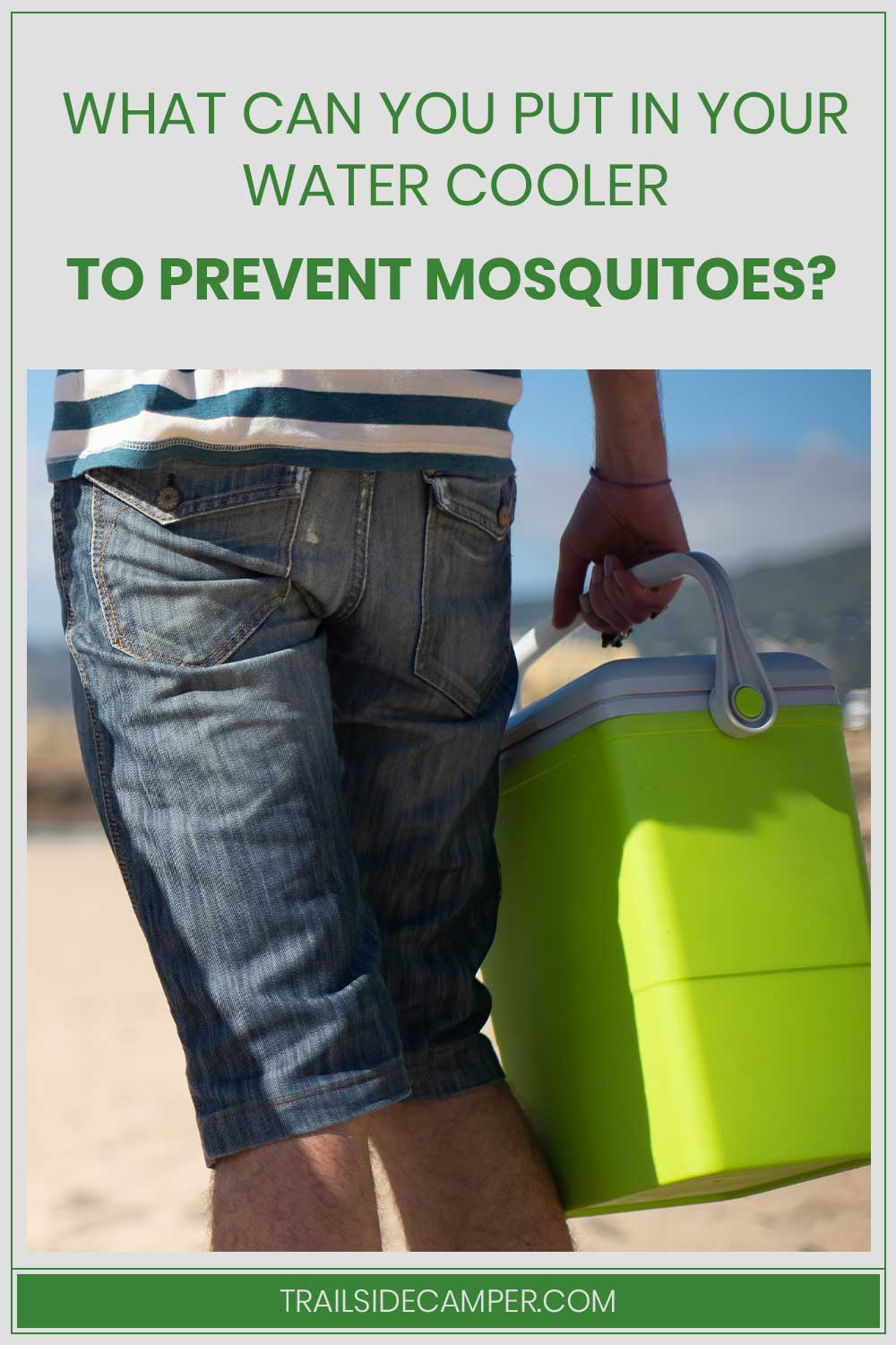 What Can You Put in Your Water Cooler to Prevent Mosquitoes?
