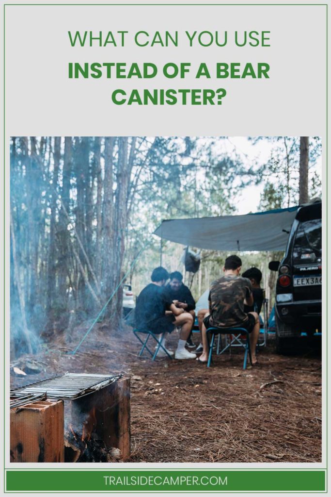 What Can You Use Instead of a Bear Canister? Trailside Camper